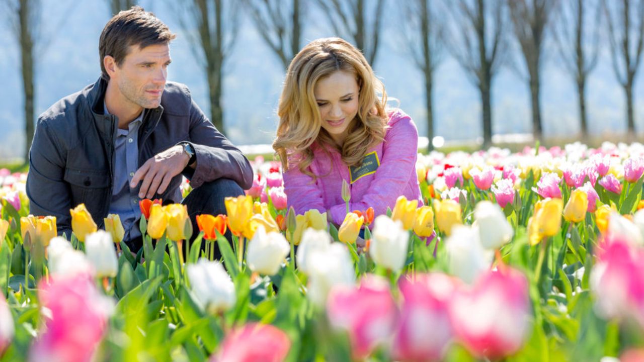 I tulipani dell’amore: di che cosa parla il film? La trama
