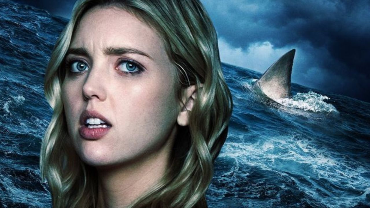 Shark Season: di che cosa parla il film? La Trama